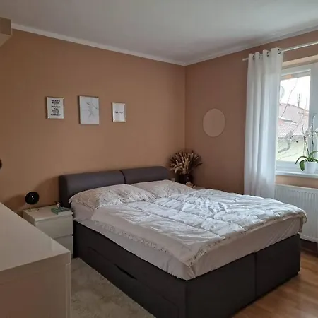 Apartman 100m² In Vienna's Suburb *